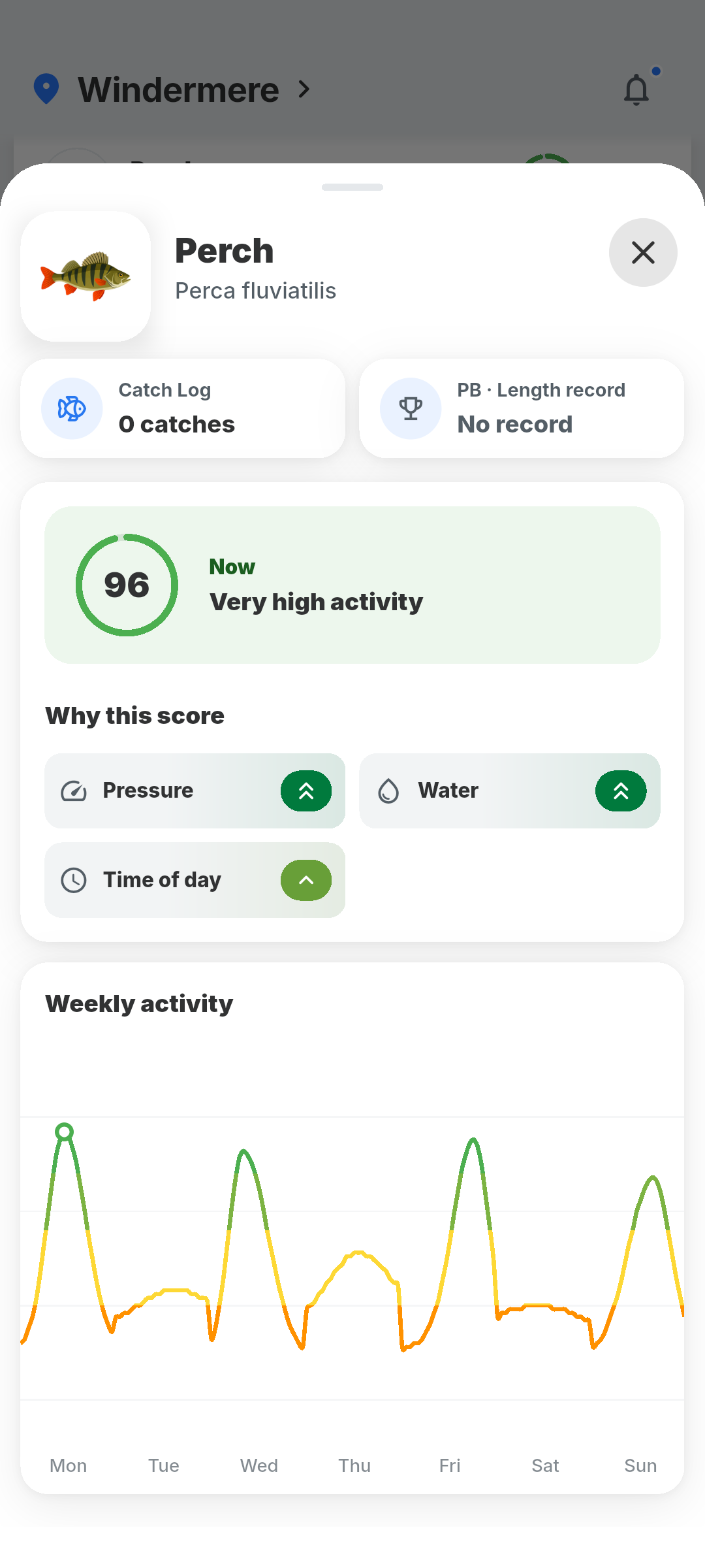 BiteRadar seven-day forecast and best fishing hours
