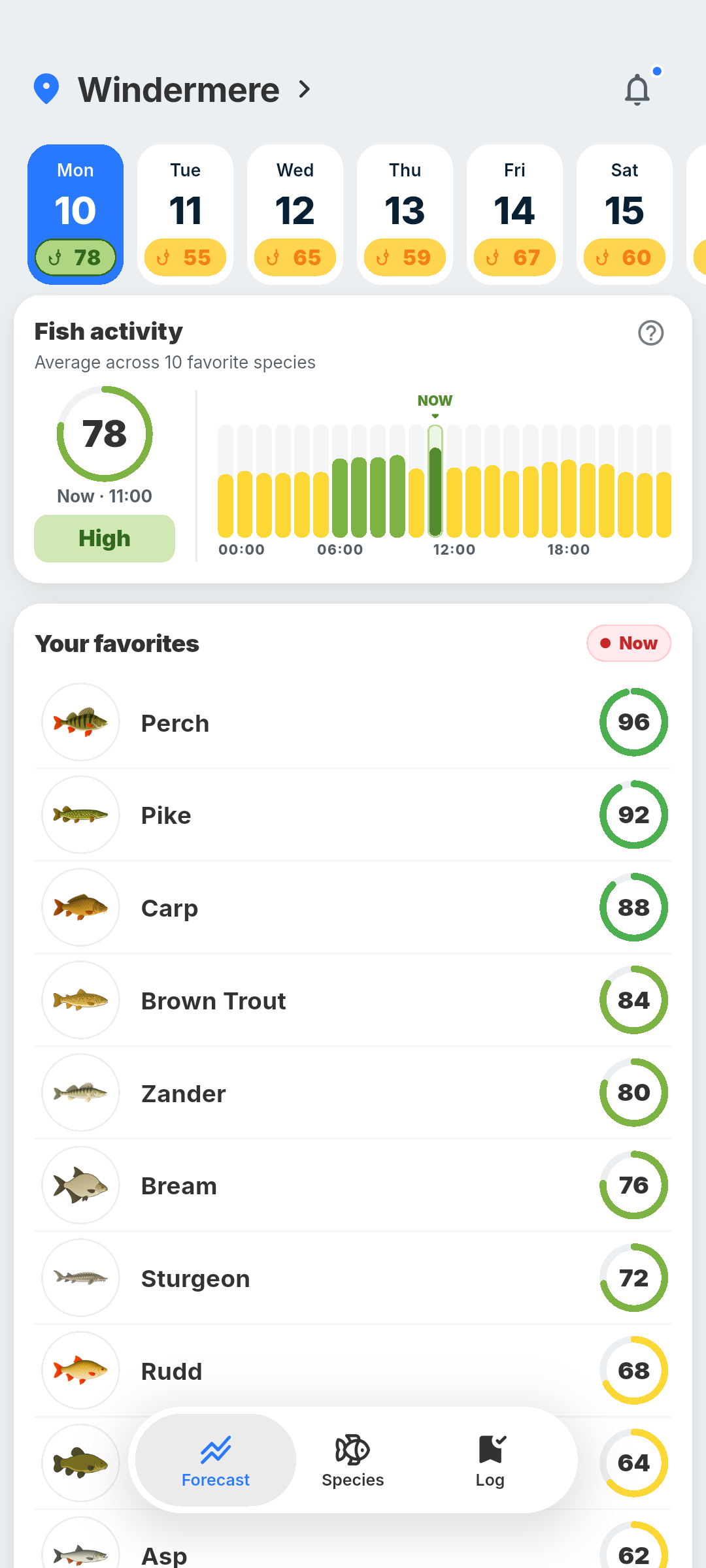 BiteRadar forecast showing daily species activity and the best fishing hours