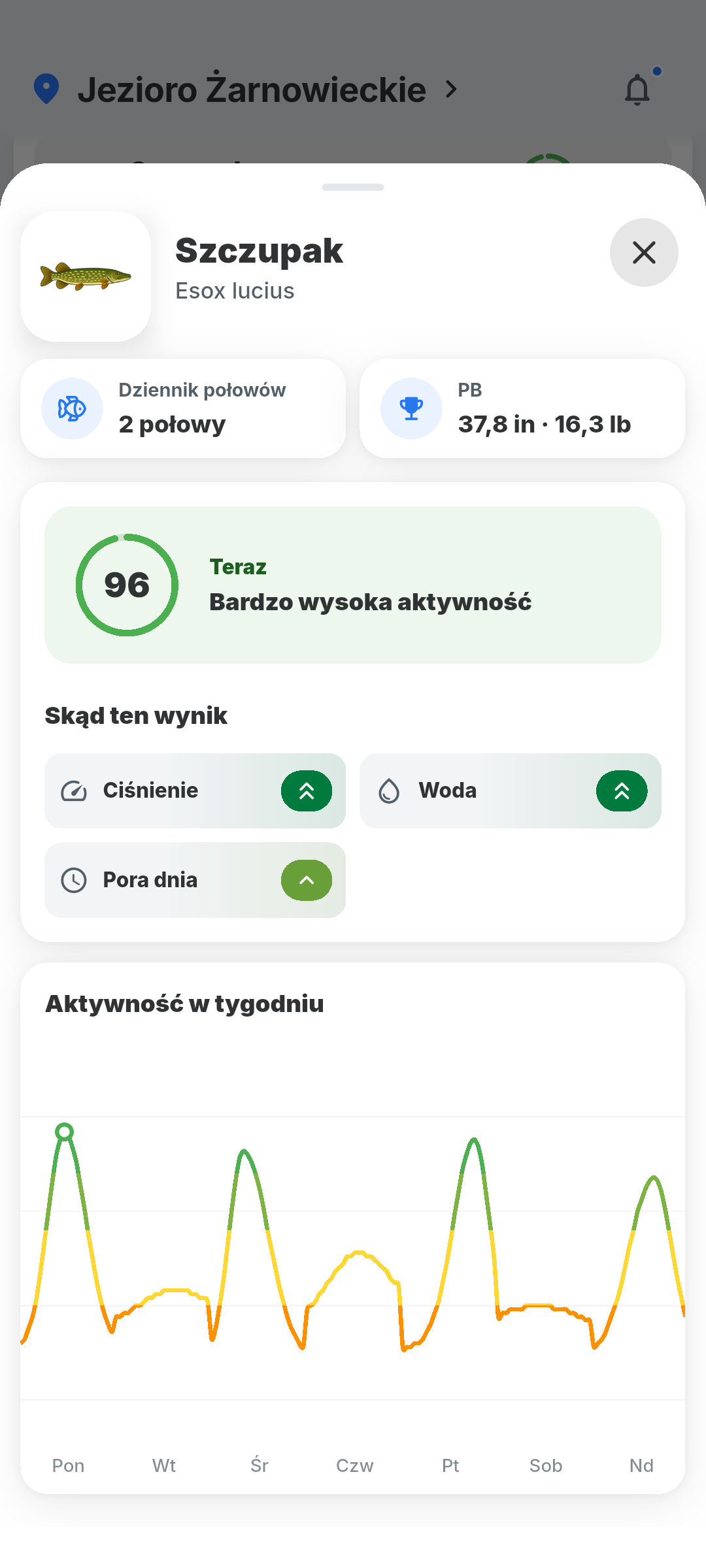 Prognoza siedmiodniowa i najlepsze godziny brań w BiteRadar