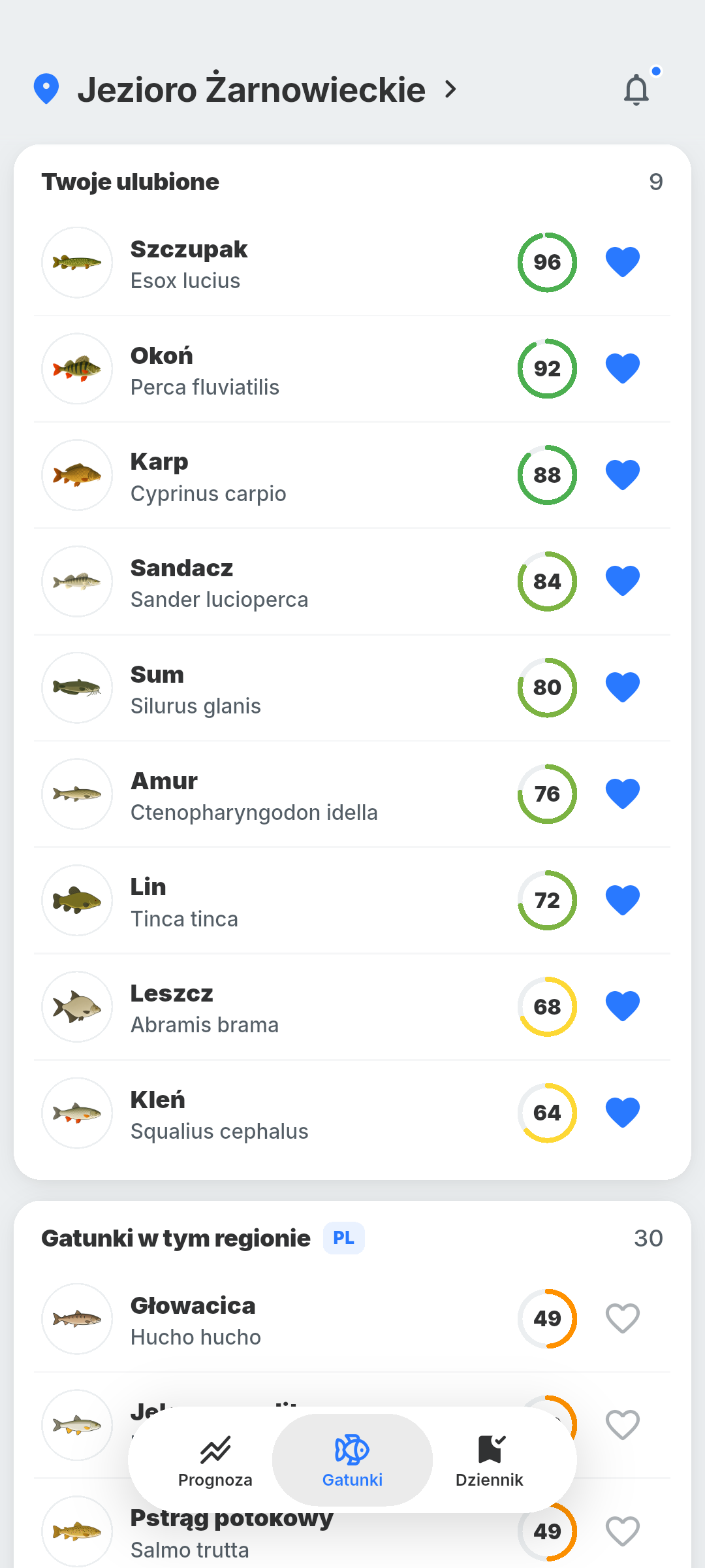 Ranking gatunków w BiteRadar